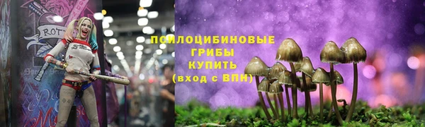 марихуана Абаза