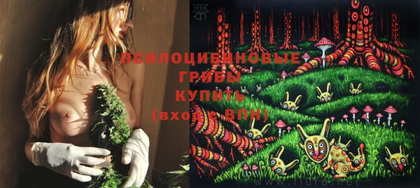 марихуана Абаза