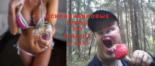 гидра Абдулино