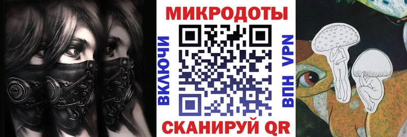 Галлюциногенные грибы Psilocybine cubensis  Кизляр 