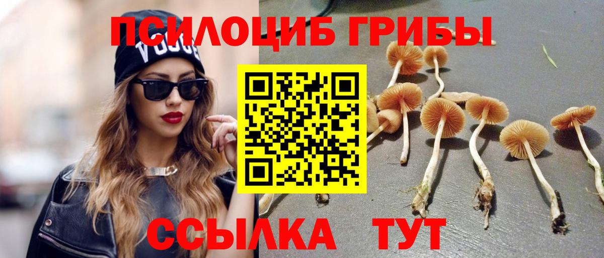 Псилоцибиновые грибы Cubensis Кизляр