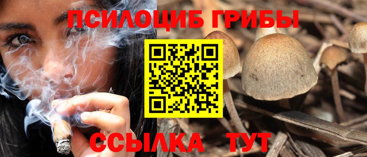 Псилоцибиновые грибы мухоморы  Вход с VPN  продажа наркотиков  Кизляр 